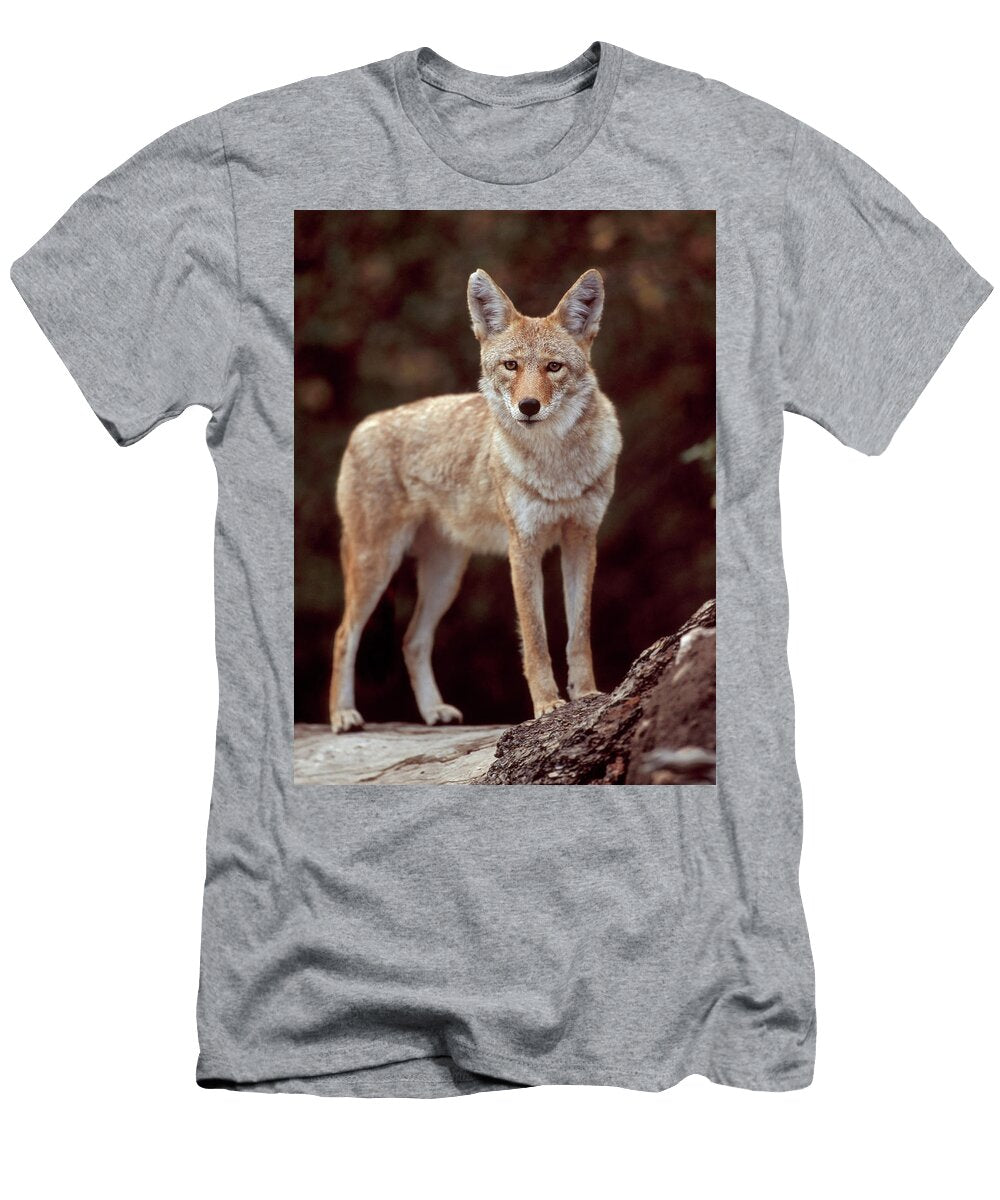 Coyote on Log Looking At Photographer George Erwin Turner T-Shirt
