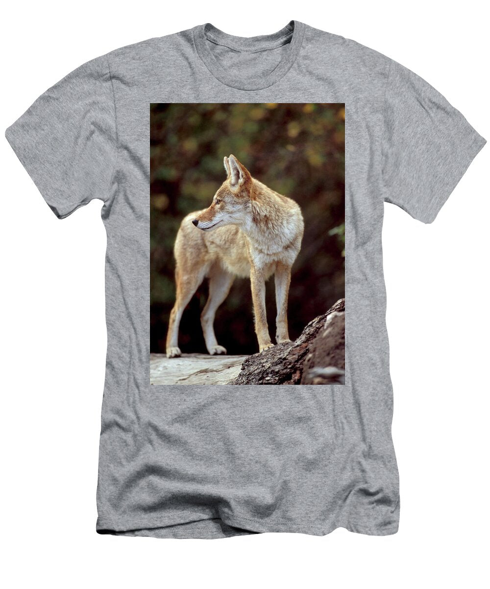 Coyote on Log Looking Behind George Erwin Turner T-Shirt