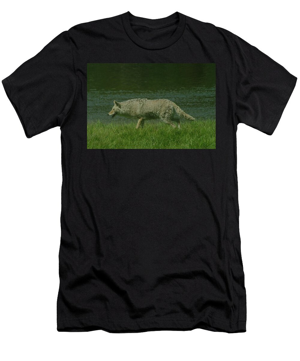 Coyote on the Prowl Jeff Swan T-Shirt