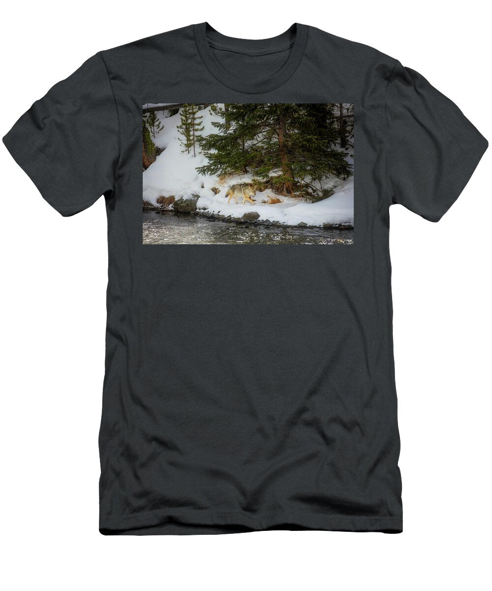 Coyote on the Prowl L O C T-Shirt
