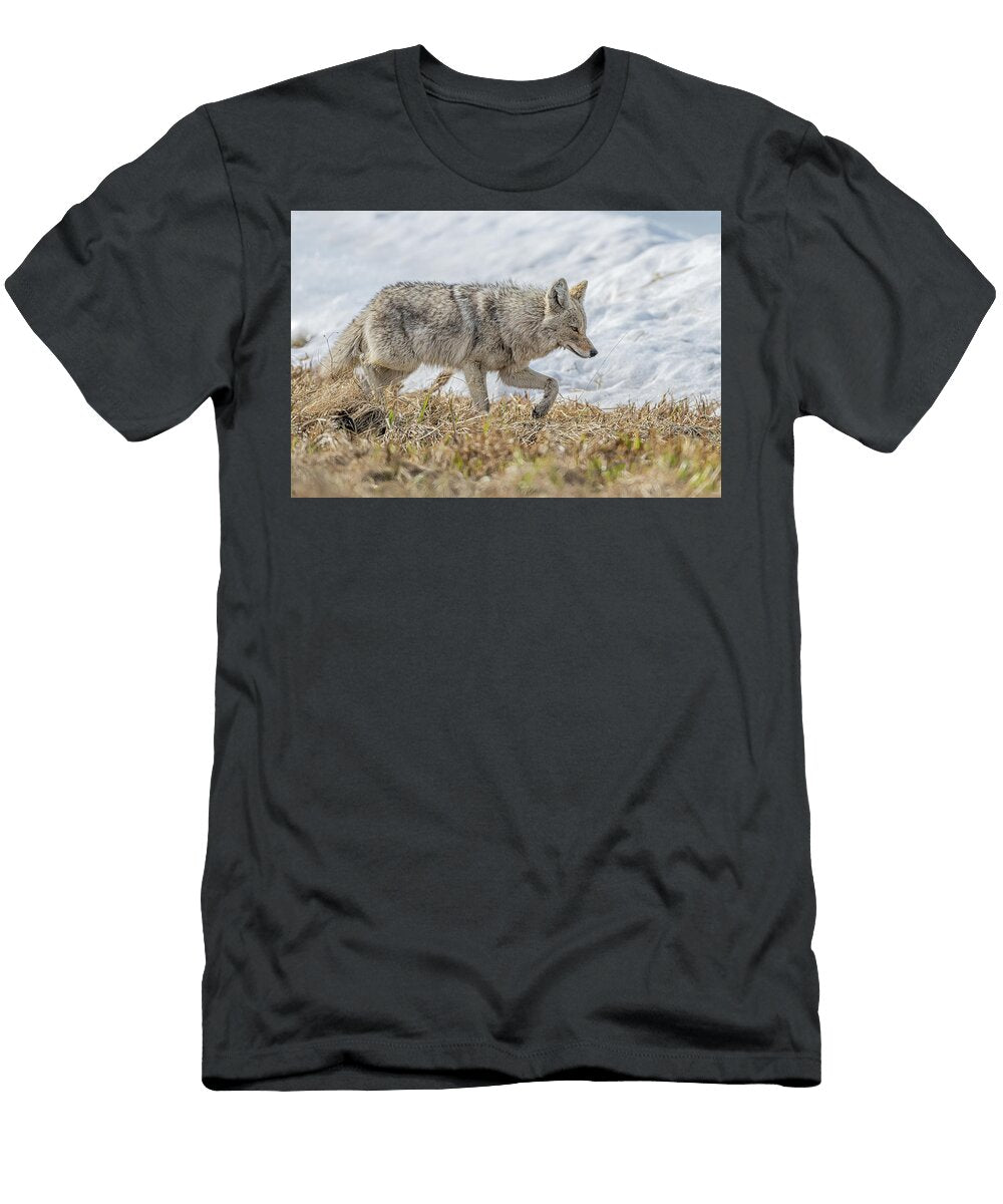 Coyote on the Prowl Paul Freidlund T-Shirt