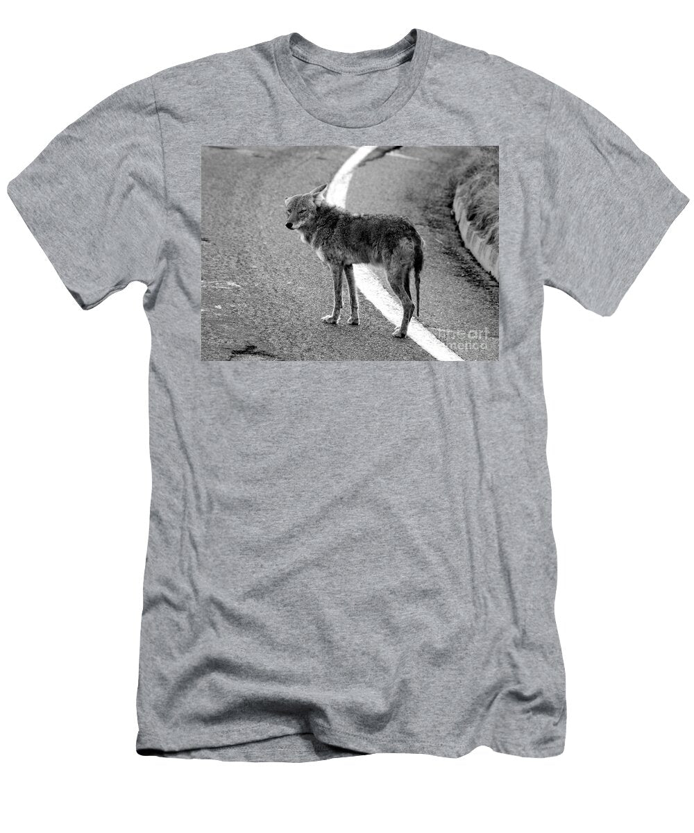 Coyote on the Road David Lee Thompson T-Shirt