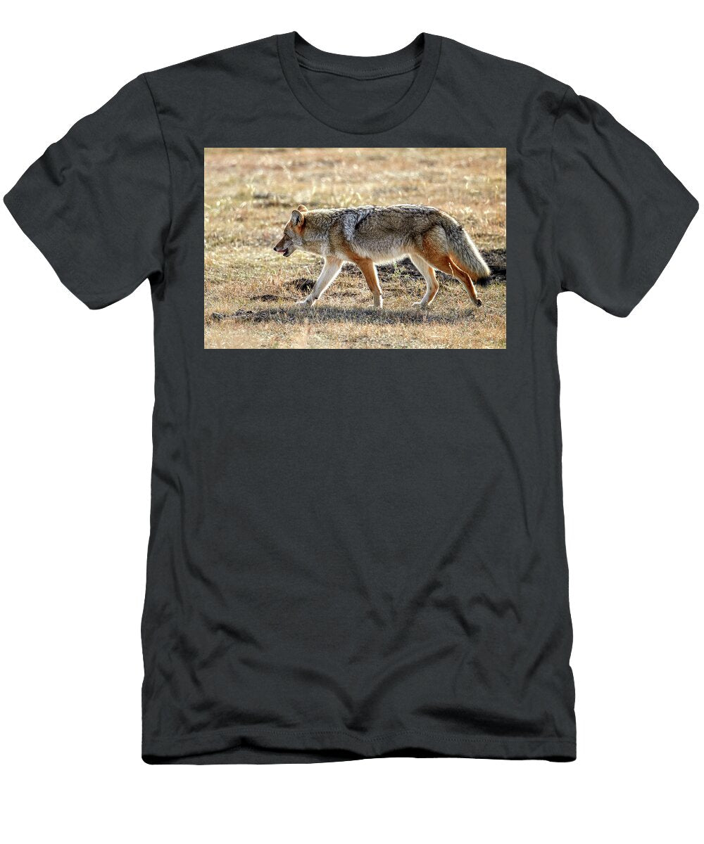 Coyote Paul Freidlund T-Shirt