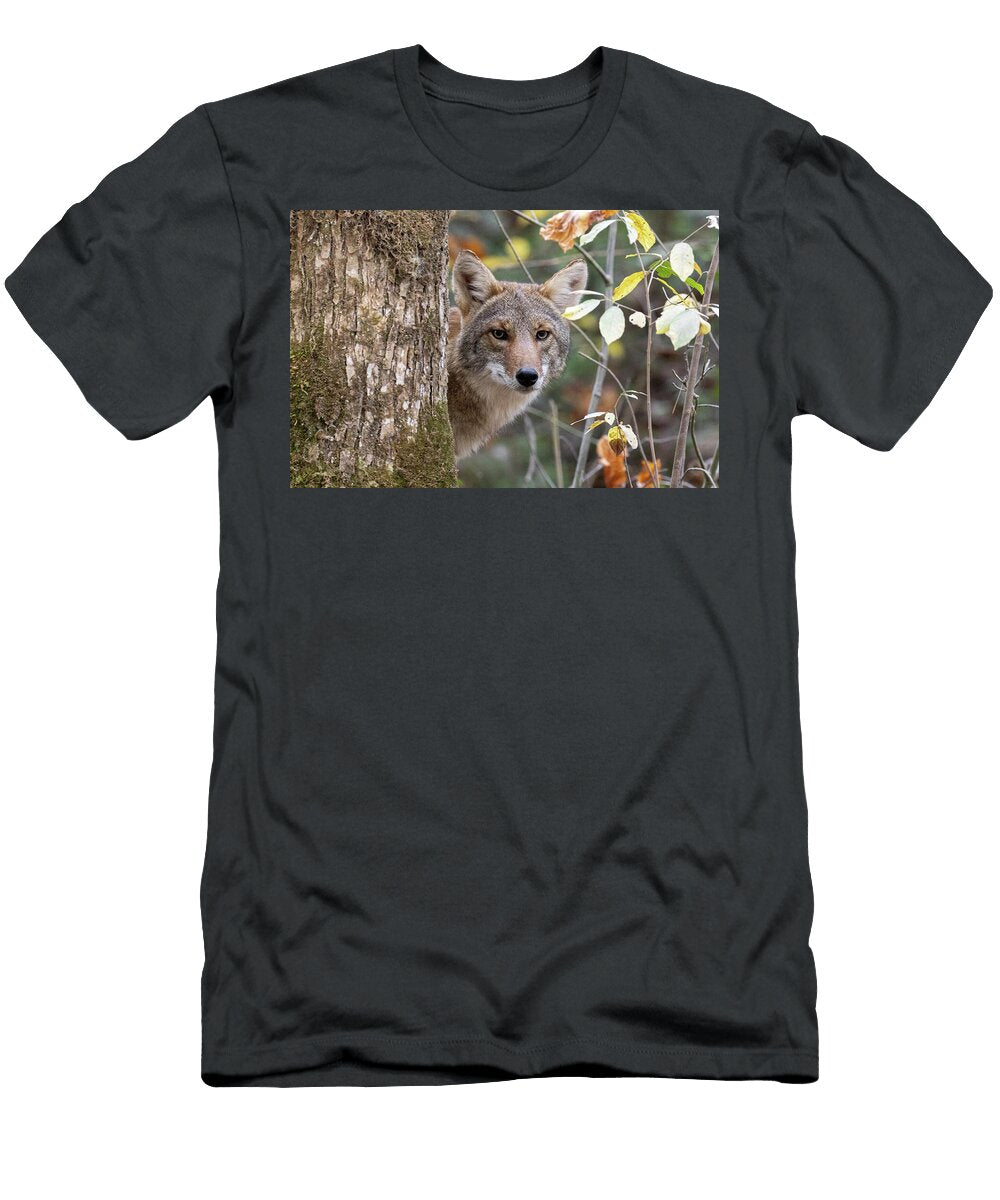 Coyote Peeking Behind Tree Stacey Reid T-Shirt