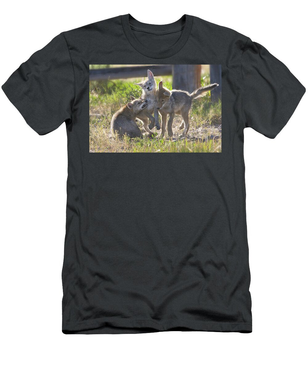 Coyote Playdate Isabella Smedley Nature T-Shirt