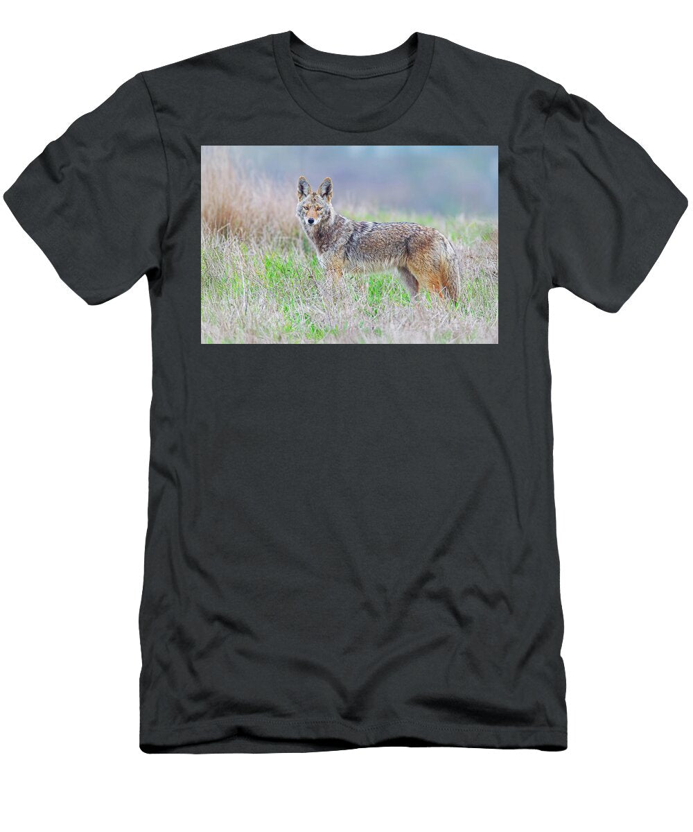 Coyote Point Reyes National Seashoreas12 Jim Coda T-Shirt