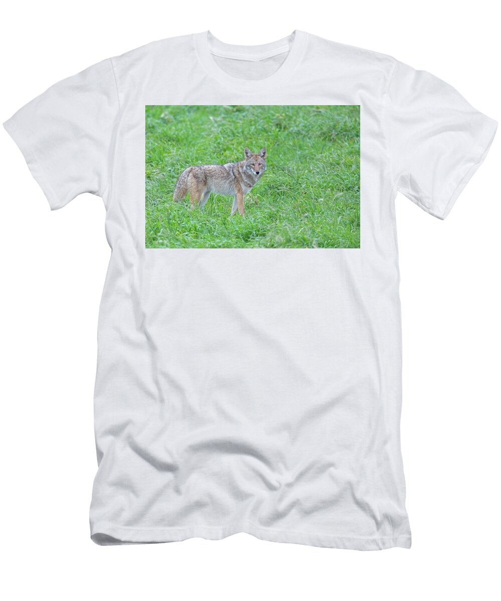 Coyote Point Reyes National Seashoreer41 Jim Coda T-Shirt
