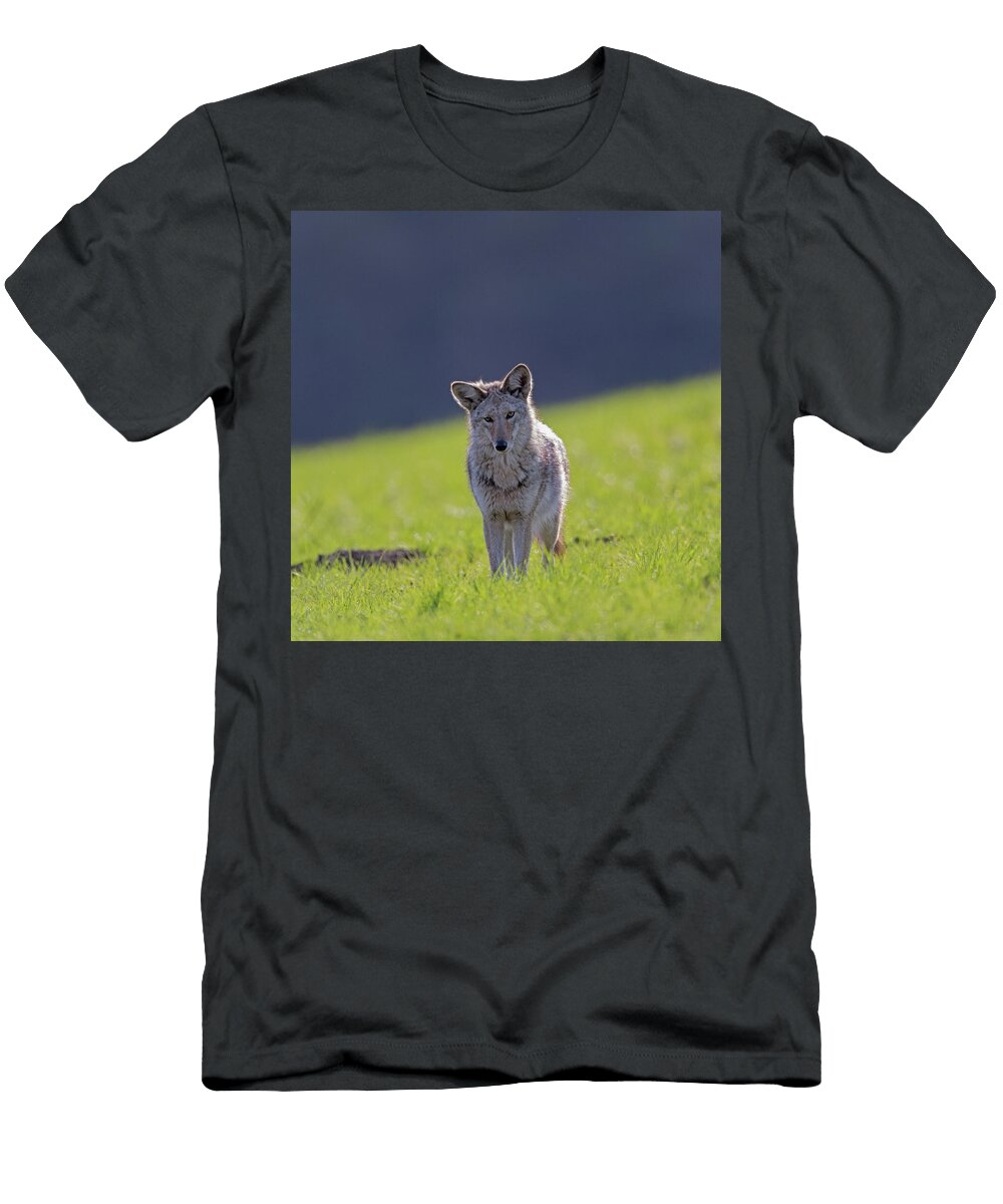 Coyote Point Reyes National Seashorenh79 Jim Coda T-Shirt