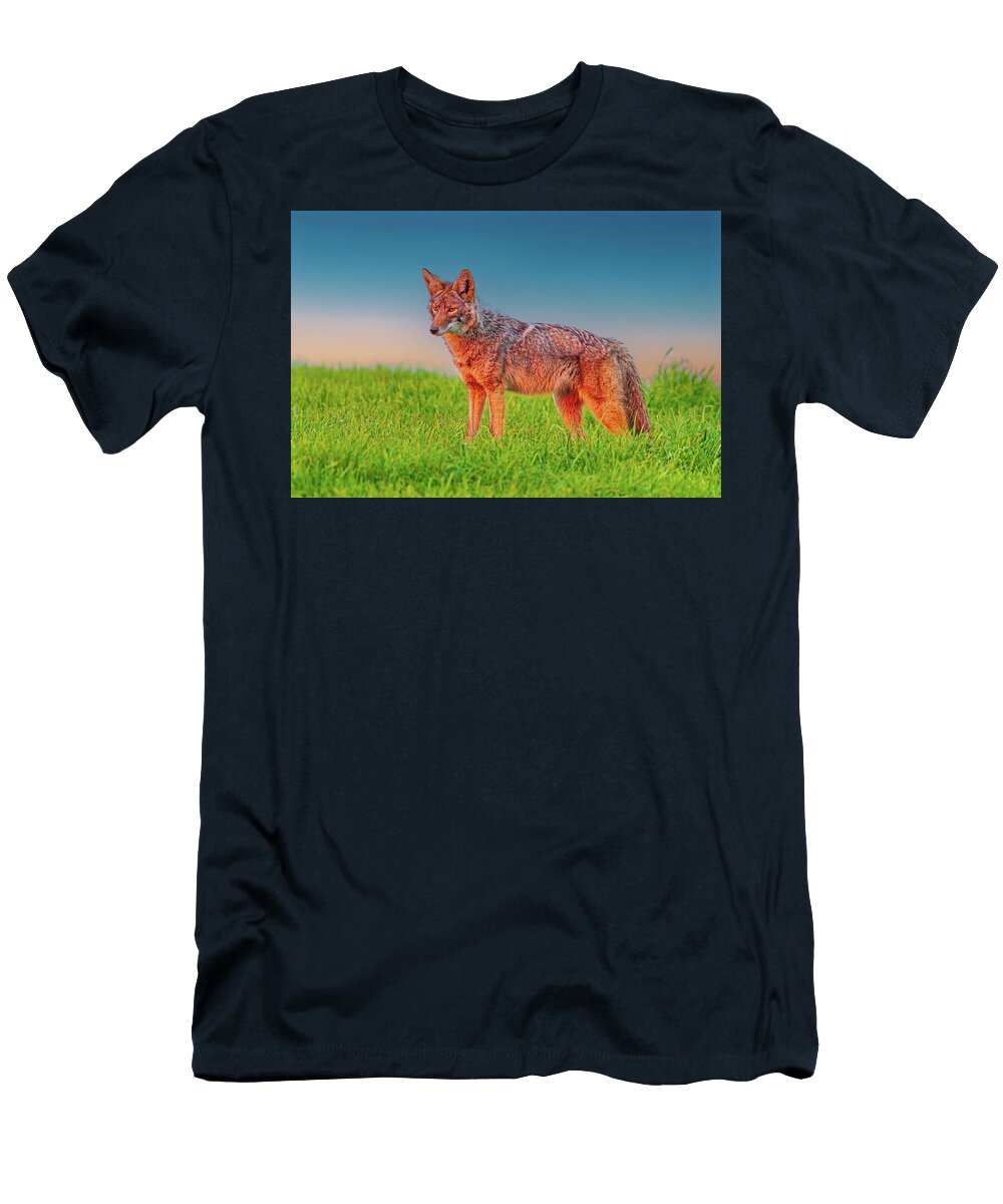 Coyote Point Reyes National Seashoreyu11 Jim Coda T-Shirt