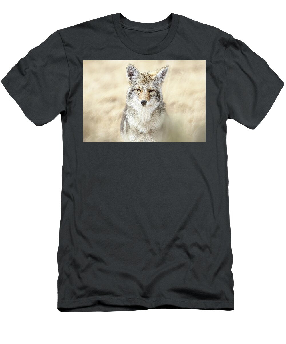 Coyote Portrait in Natural Habitat Isabella Smedley Nature T-Shirt