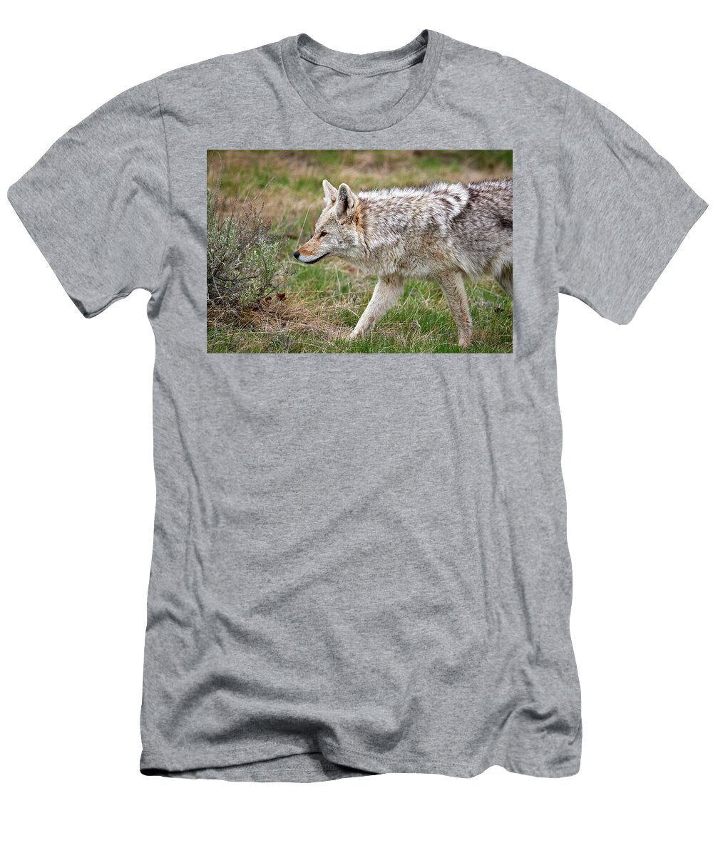 Coyote Portrait Paul Freidlund T-Shirt