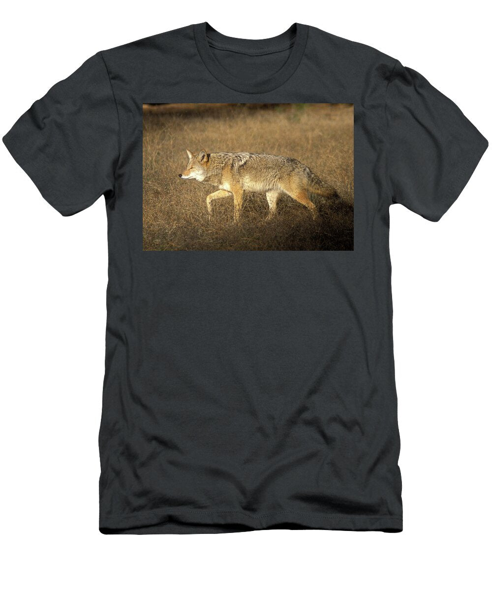 Coyote Prowling John Burk T-Shirt