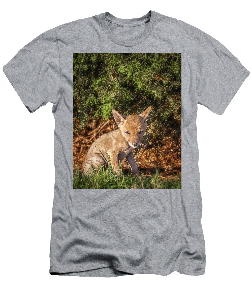 Coyote Pup David Wagner T-Shirt