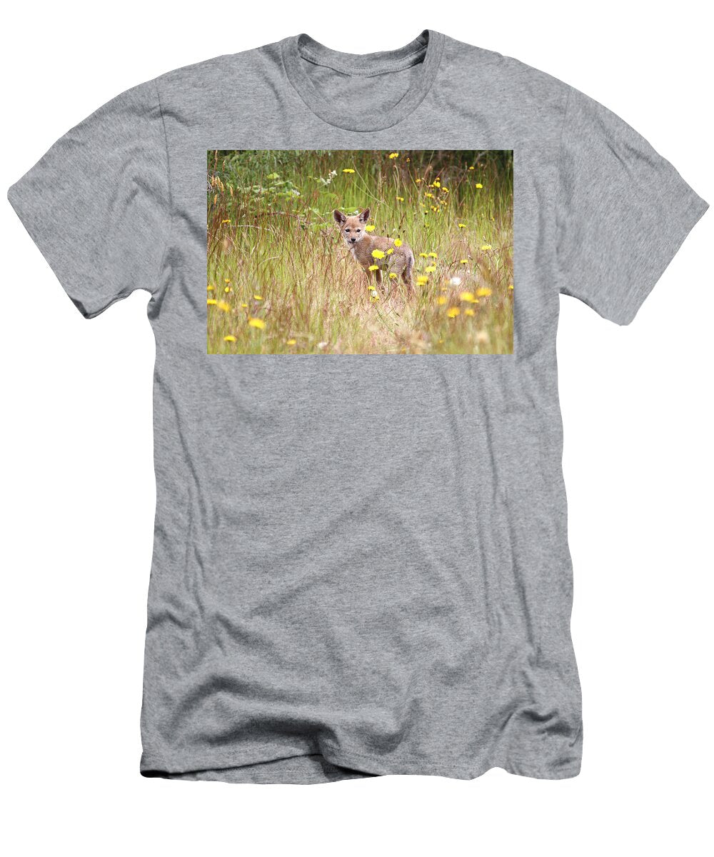 Coyote Pup in a Field of Dandelions Peggy Collins T-Shirt