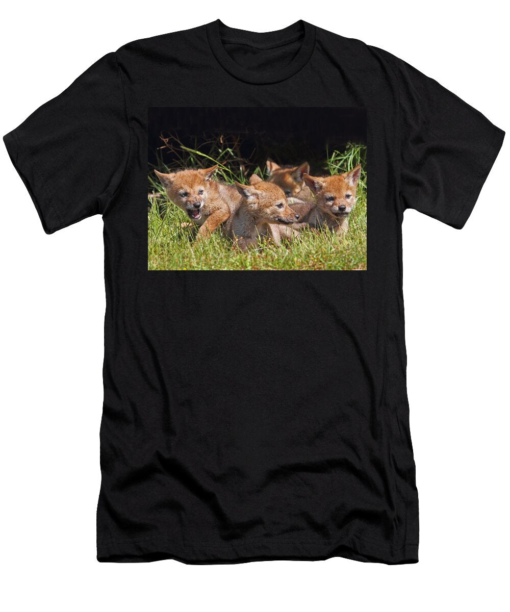 Coyote Pups Peggy Collins T-Shirt