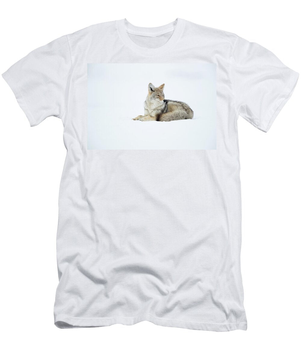 Coyote Resting in Snow Yellowstone National Park USA Danny Green Natureplcom T-Shirt