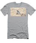Coyote Resting in Sunlit Field Gordy Lindgren Photo T-Shirt