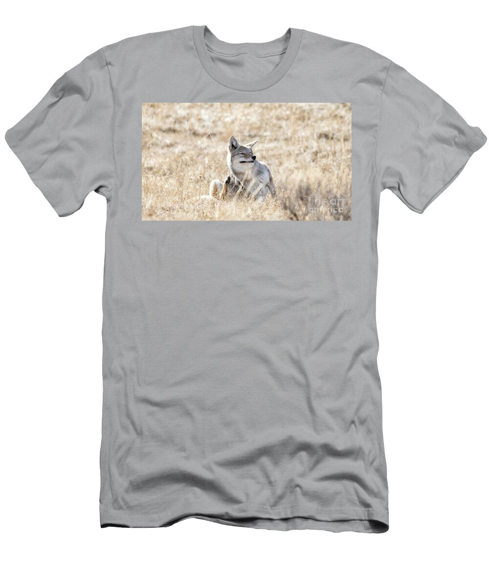 Coyote Resting in Sunlit Field Gordy Lindgren Photo T-Shirt
