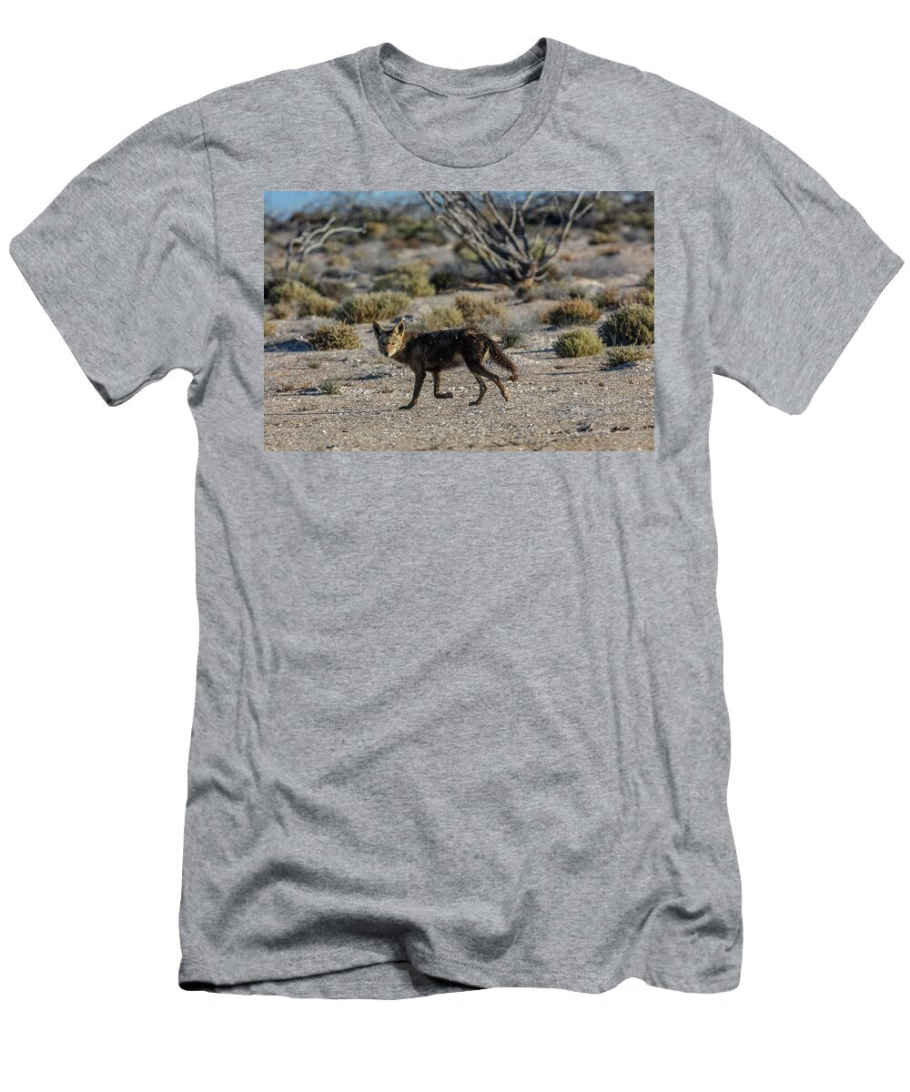Coyote San Ignacio Lagoon El Vizcaino Biosphere Reserve Claudio Contreras Natureplcom T-Shirt