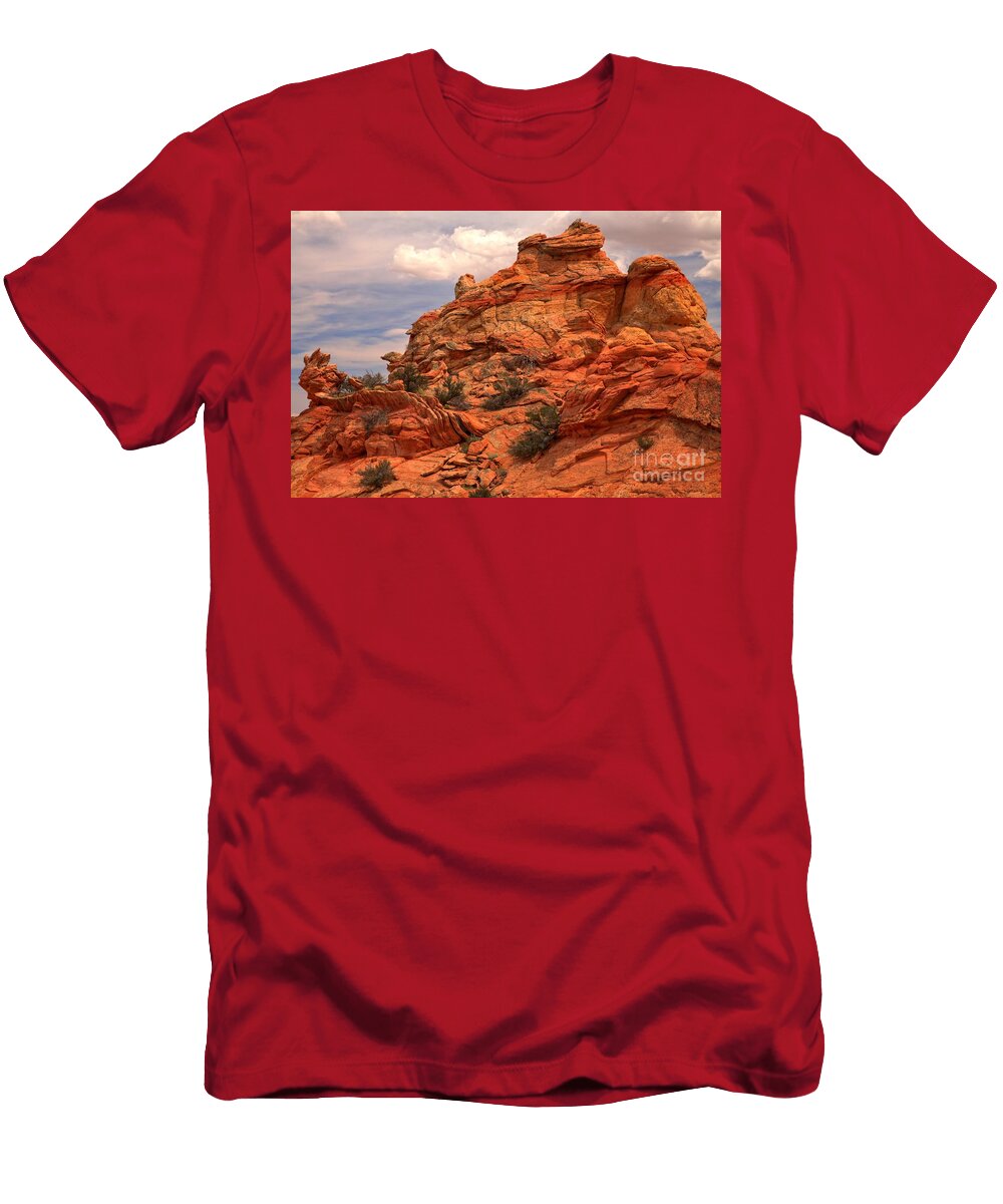 Coyote Sandstone Textures Adam Jewell T-Shirt