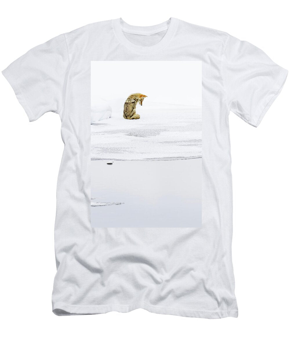 Coyote Sitting on Ice Looking Down Madison Valley Nick Garbutt Natureplcom T-Shirt