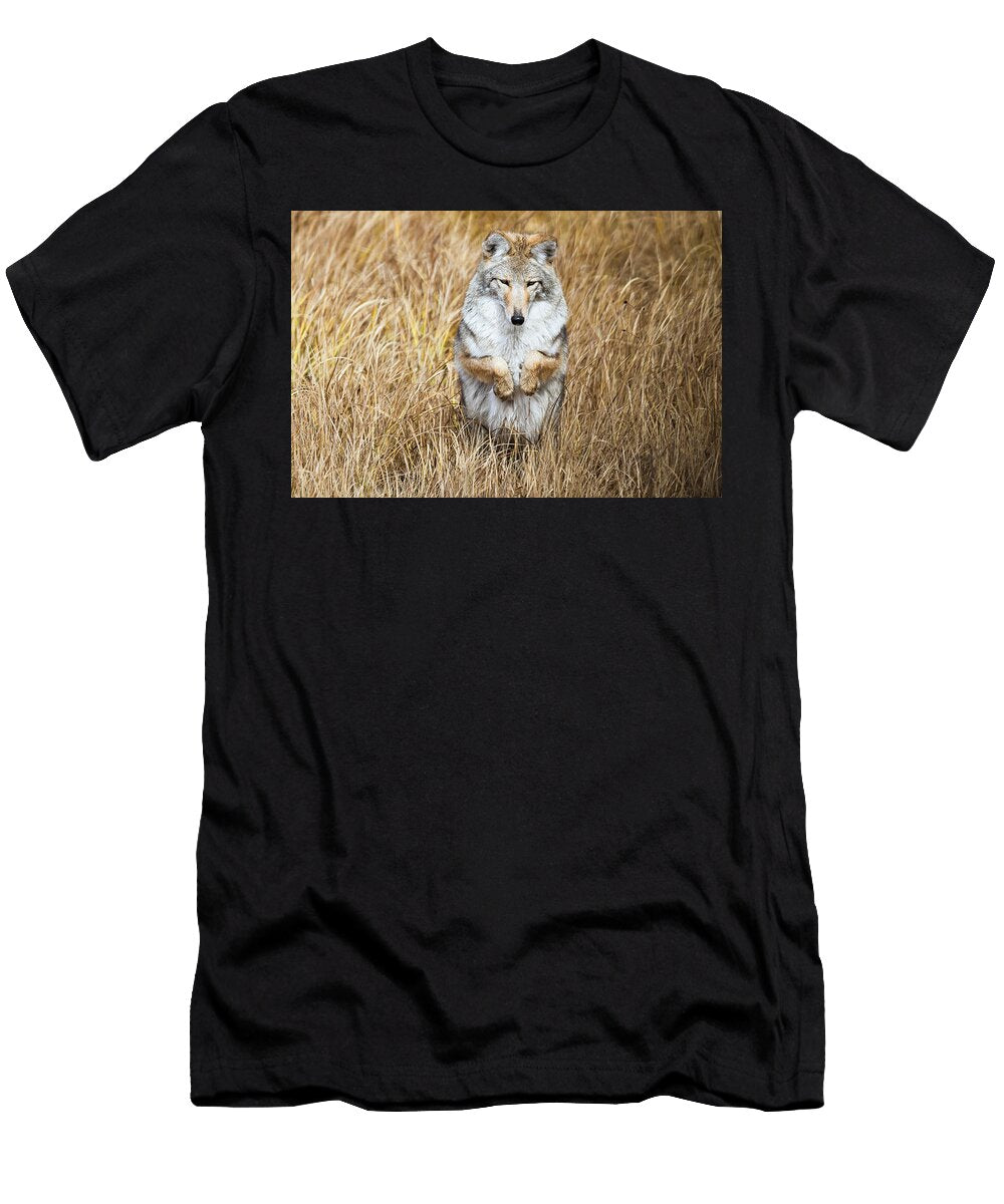 Coyote Sitting Up Ready to in Tall Grass Part 1 Isabella Smedley T-Shirt