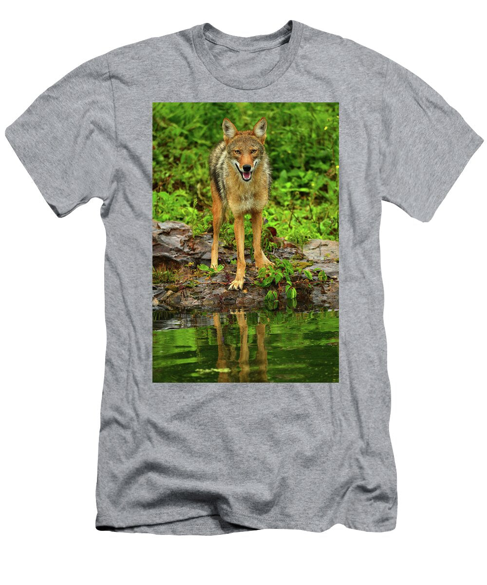 Coyote Smiling Dean Hueber T-Shirt