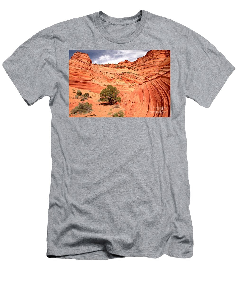 Coyote South Swirling Sandstone Adam Jewell T-Shirt