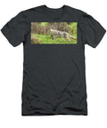 Coyote Stalking in the Grass Paul Freidlund T-Shirt