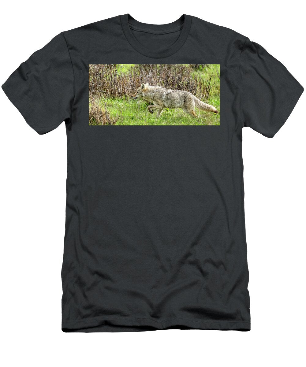 Coyote Stalking in the Grass Paul Freidlund T-Shirt
