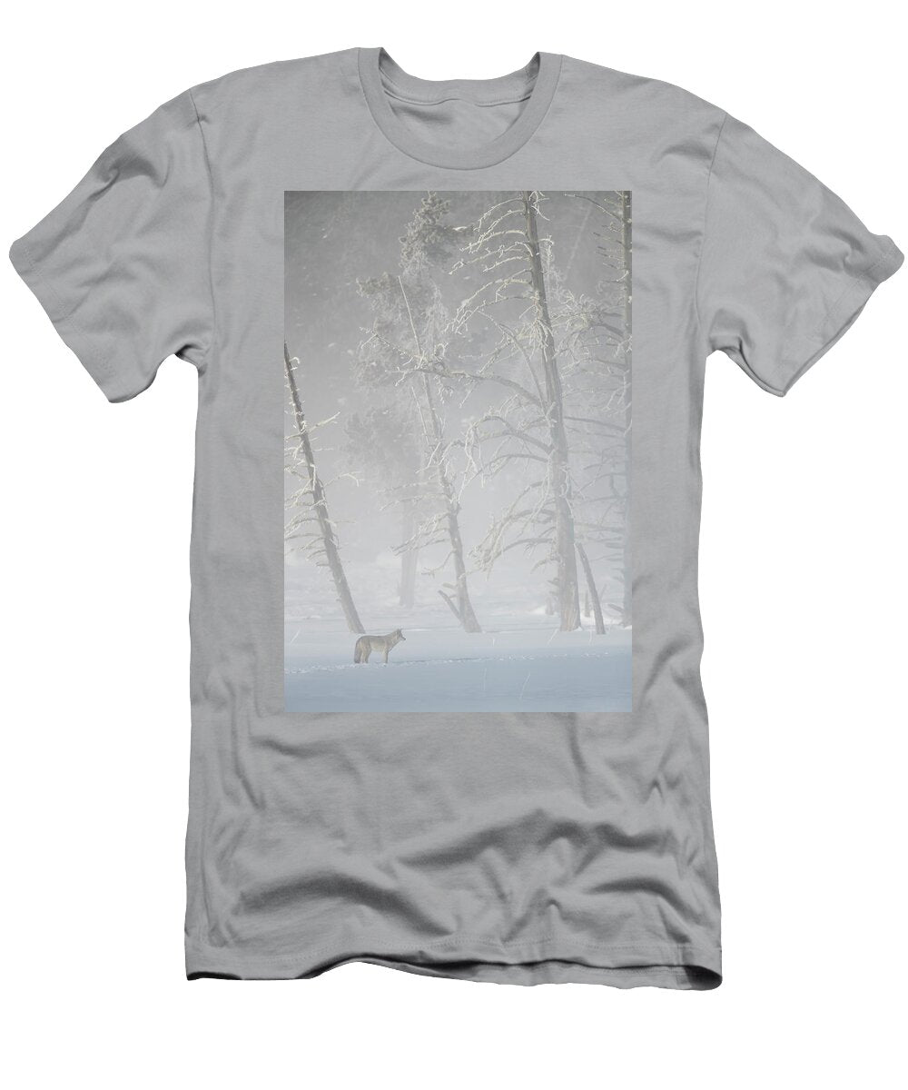 Coyote Standing in Snow Dwarfed By Frosty Trees Danny Green Natureplcom T-Shirt