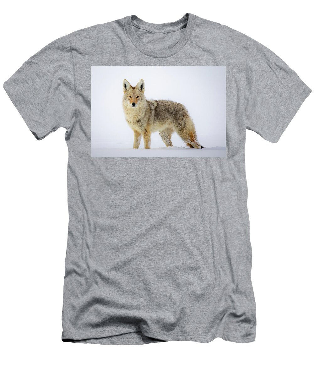 Coyote Stare Down Peter Mangolds T-Shirt