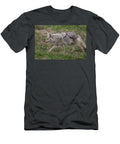 Coyote Strolling in the Field Paul Freidlund T-Shirt