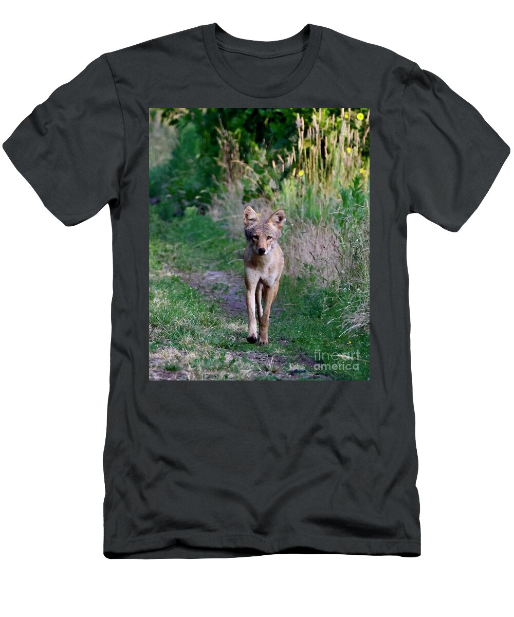 Coyote Strolling Through the Meadow Nick Gustafson T-Shirt