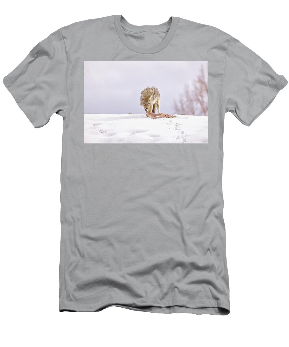 Coyote Surviving Isabella Smedley T-Shirt