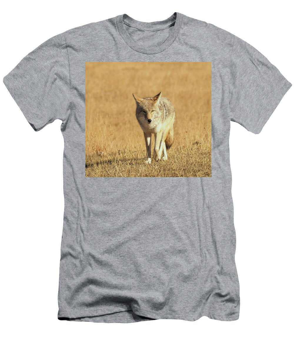 Coyote Walking Jenny Golding T-Shirt