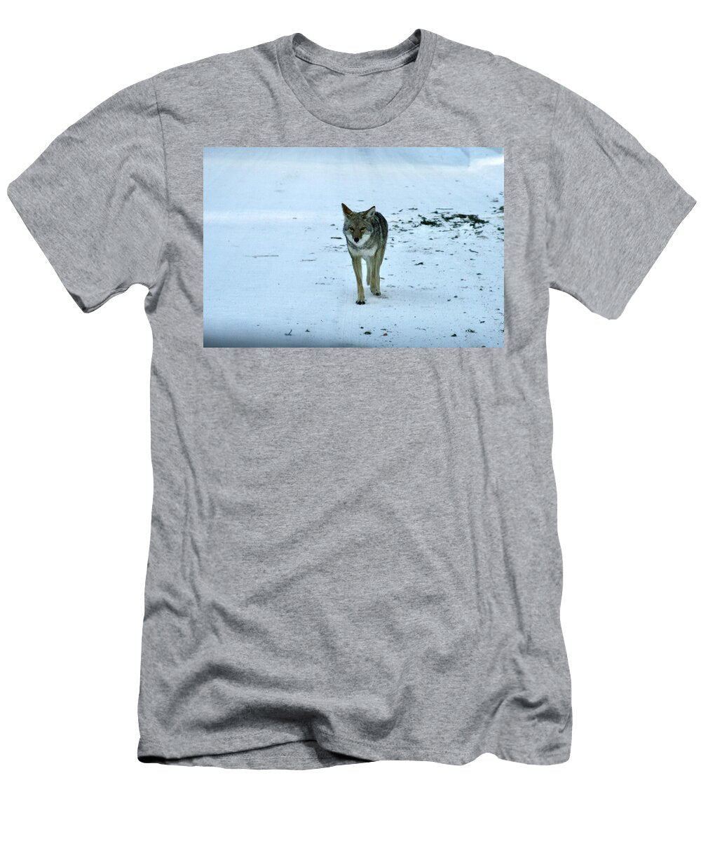 Coyote Walking on Snowy Path Masha Batkova T-Shirt