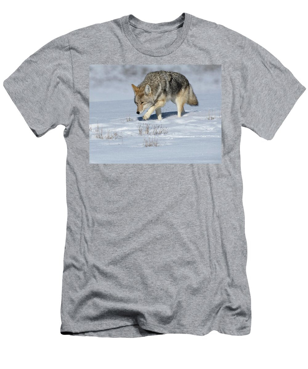 Coyote Walking on Snowy Plain Christine Pence T-Shirt
