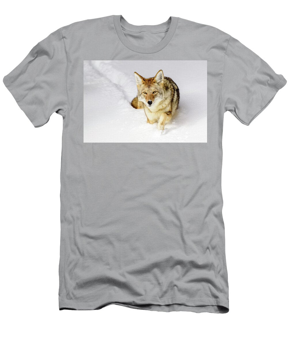 Coyote Walking Through Deep Winter Snow Yellowstone Nick Garbutt Natureplcom T-Shirt