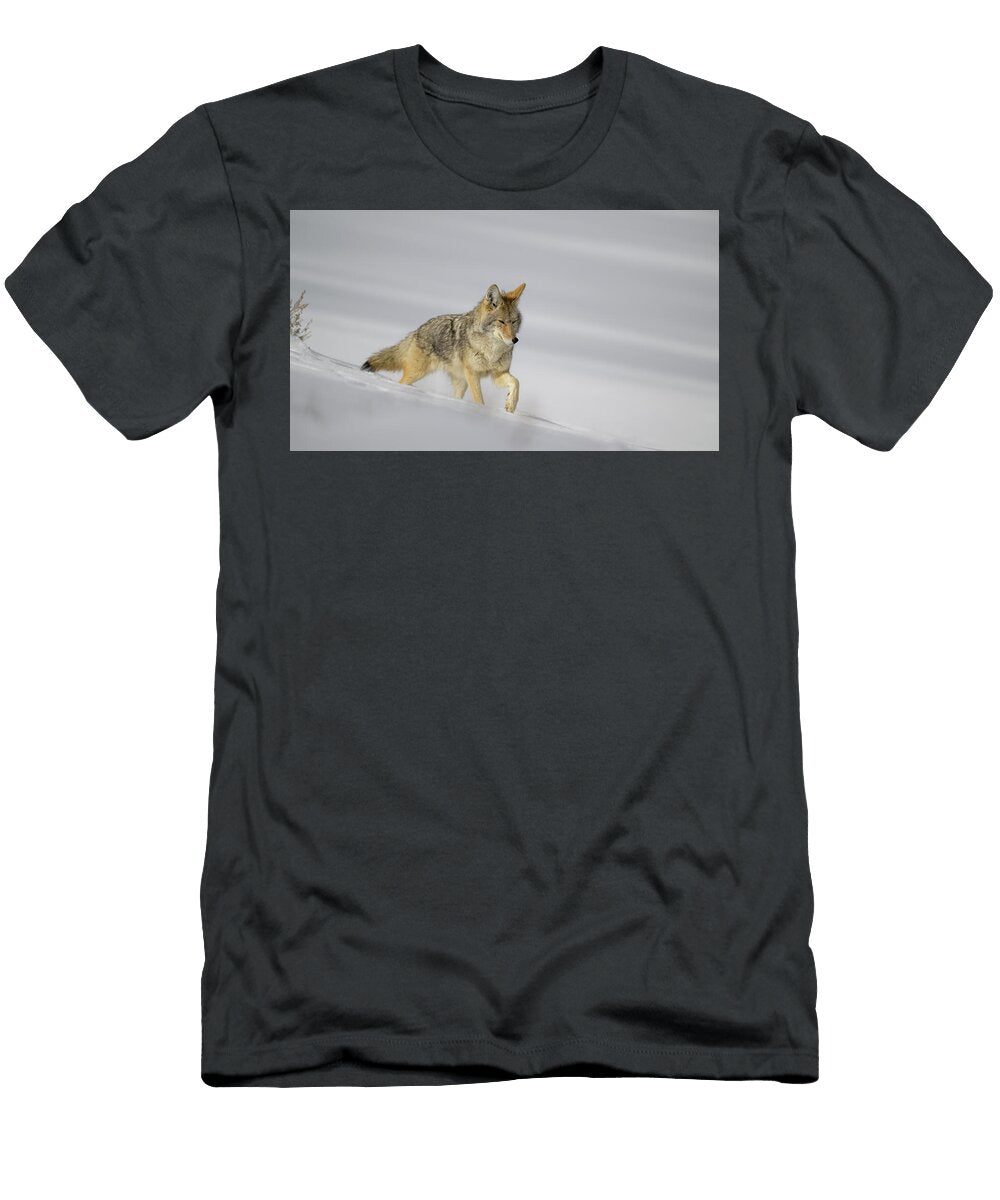 Coyote Walking Through Snow Anita Wooldridge T-Shirt