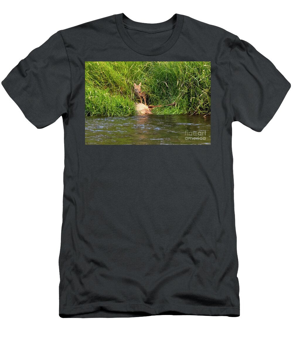 Coyote Watch Michael Dawson T-Shirt