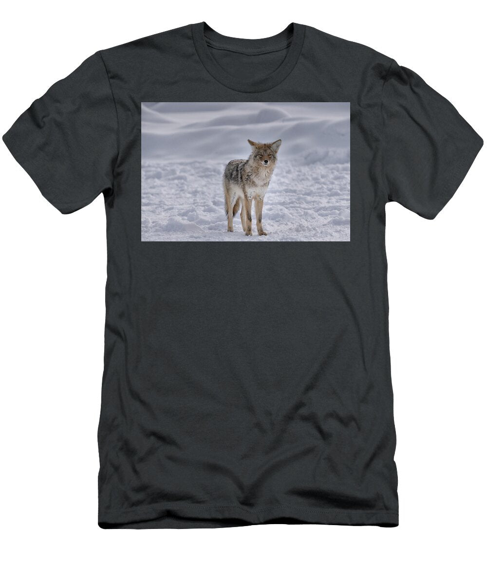 Coyote Watching Emil Davidzuk T-Shirt