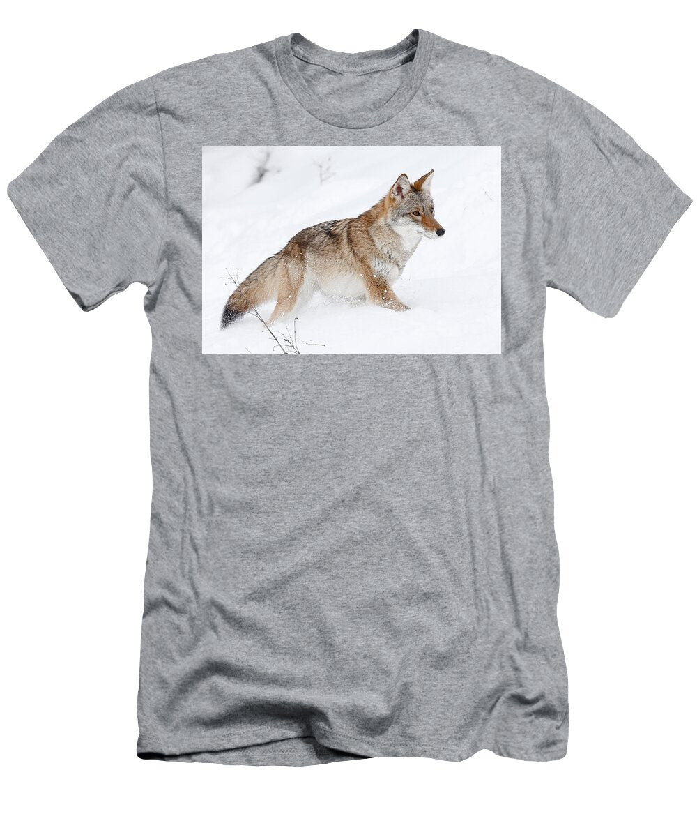 Coyote Winter Athena Mckinzie T-Shirt