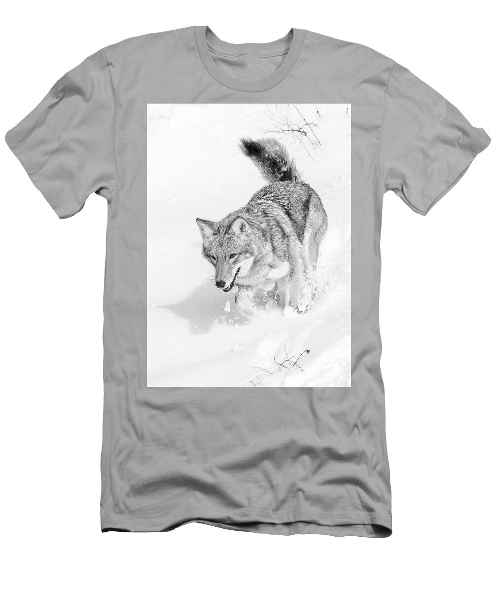 Coyote Winter Sleigh Athena Mckinzie T-Shirt