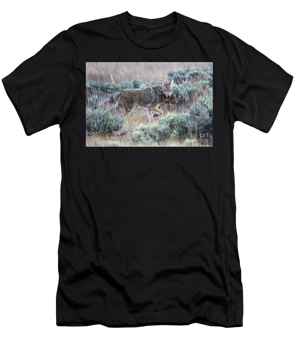 Coyote with a Beaver Tail in the Wilderness Phillip Espinasse T-Shirt