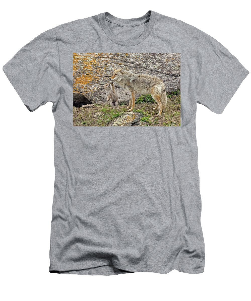 Coyote with Playful Newborn Pup Yellowstone National Park George Sanker Natureplcom T-Shirt