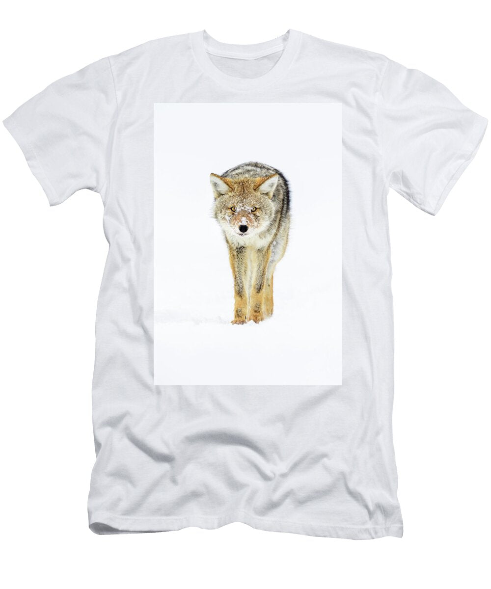 Coyote with Porcupine Quills Lodged in Its Muzzle Hayden Nick Garbutt Natureplcom T-Shirt
