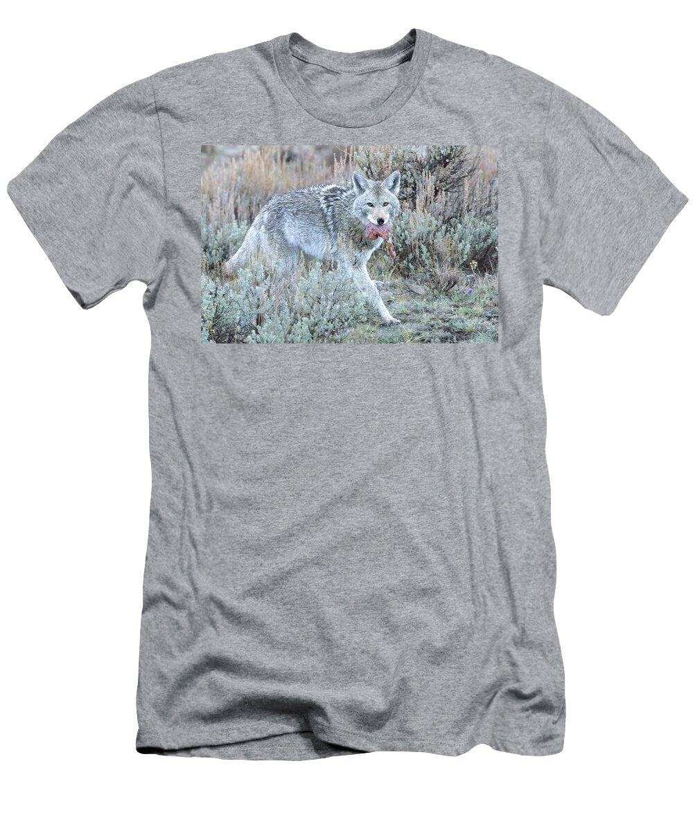 Coyote with Prey in Yellowstone National Parkgrassland Isabella Smedley T-Shirt