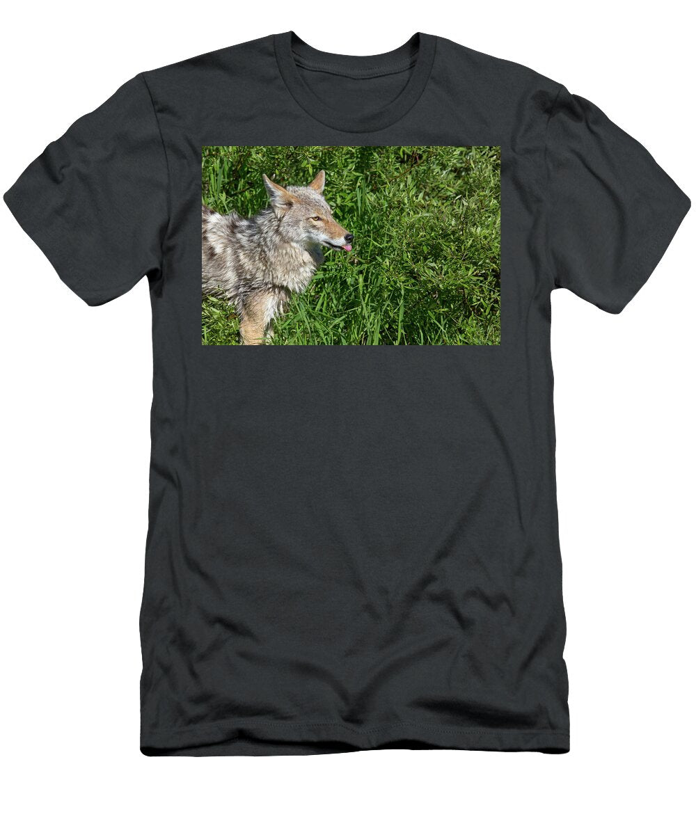 Coyote with Tongue Sticking Out George Erwin Turner T-Shirt