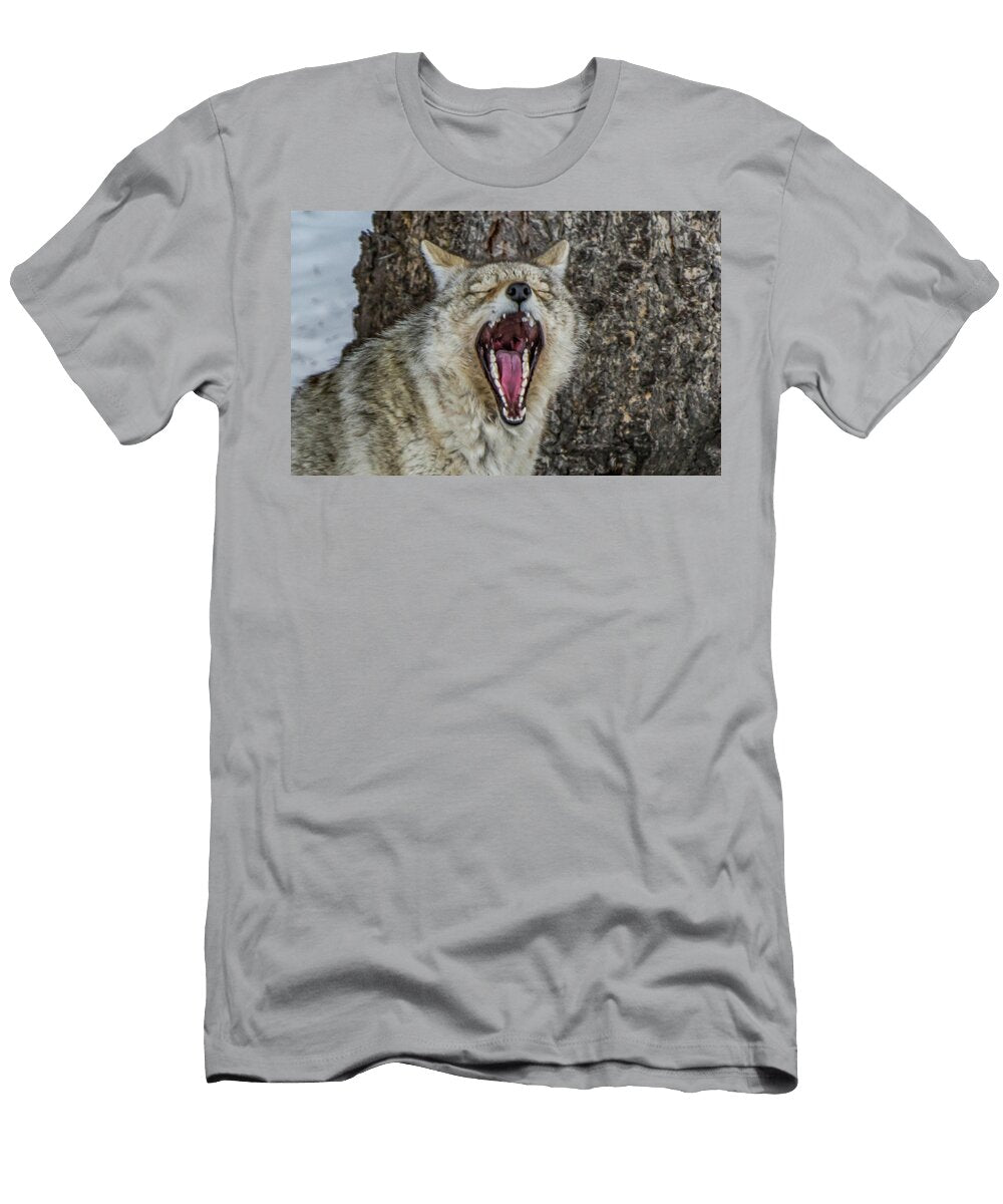 Coyote Yawn Ashley Noble T-Shirt
